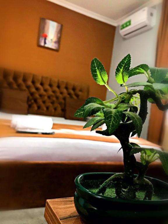 Geo Hotel Tbiliszi Kültér fotó